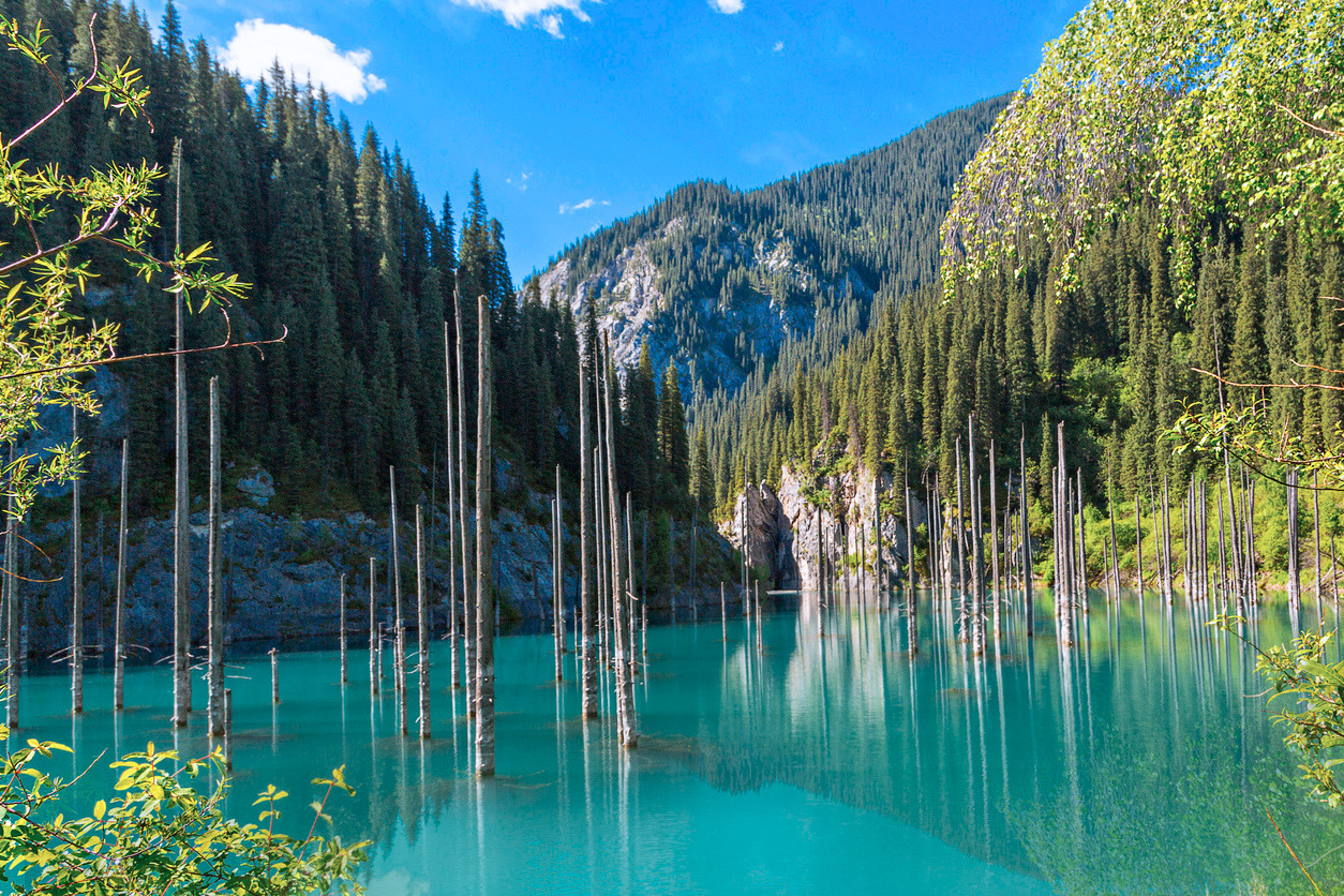 2819e9f9-1f4c-4abe-87f8-72852e3992f7