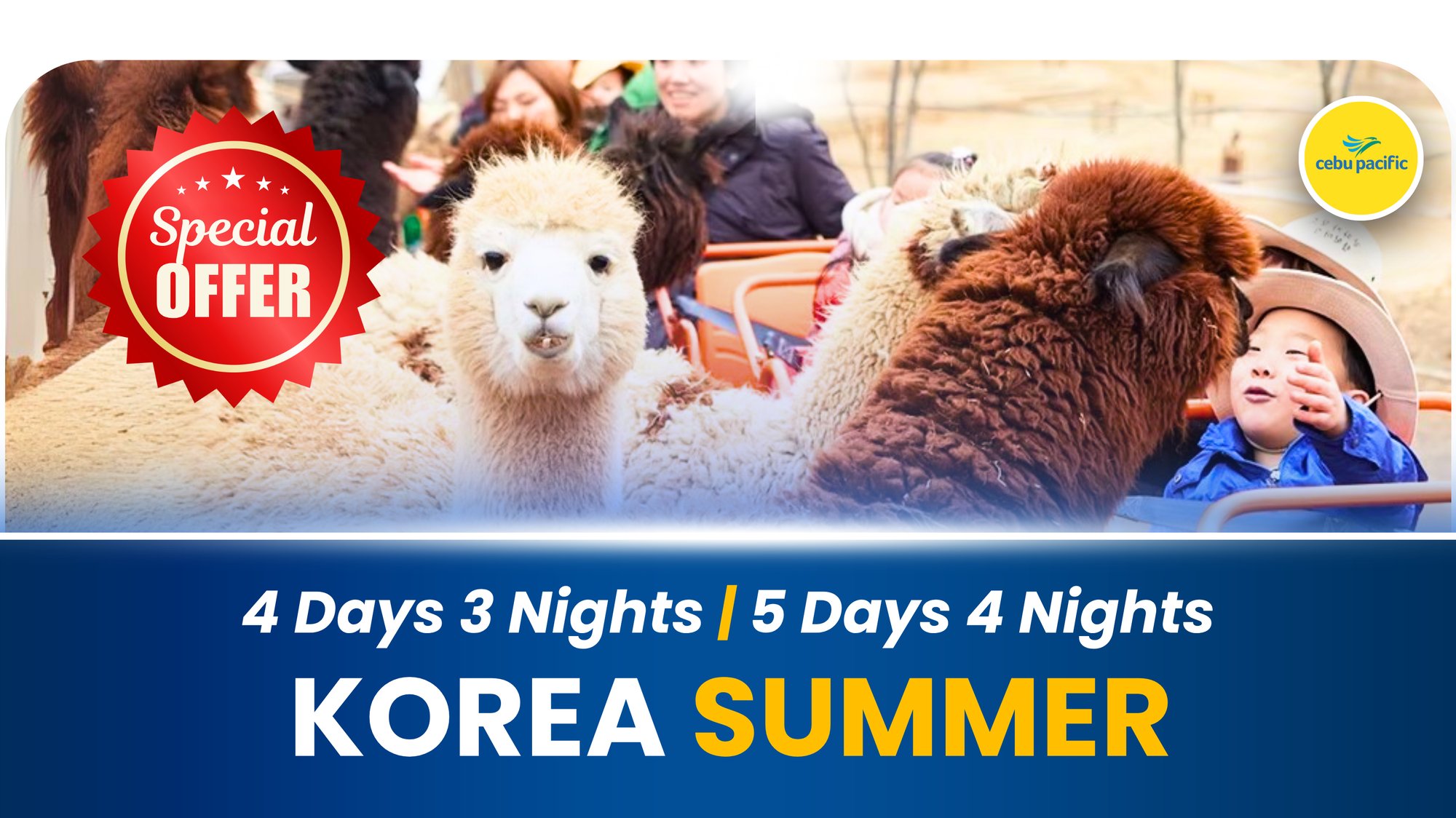 KOREA SUMMER