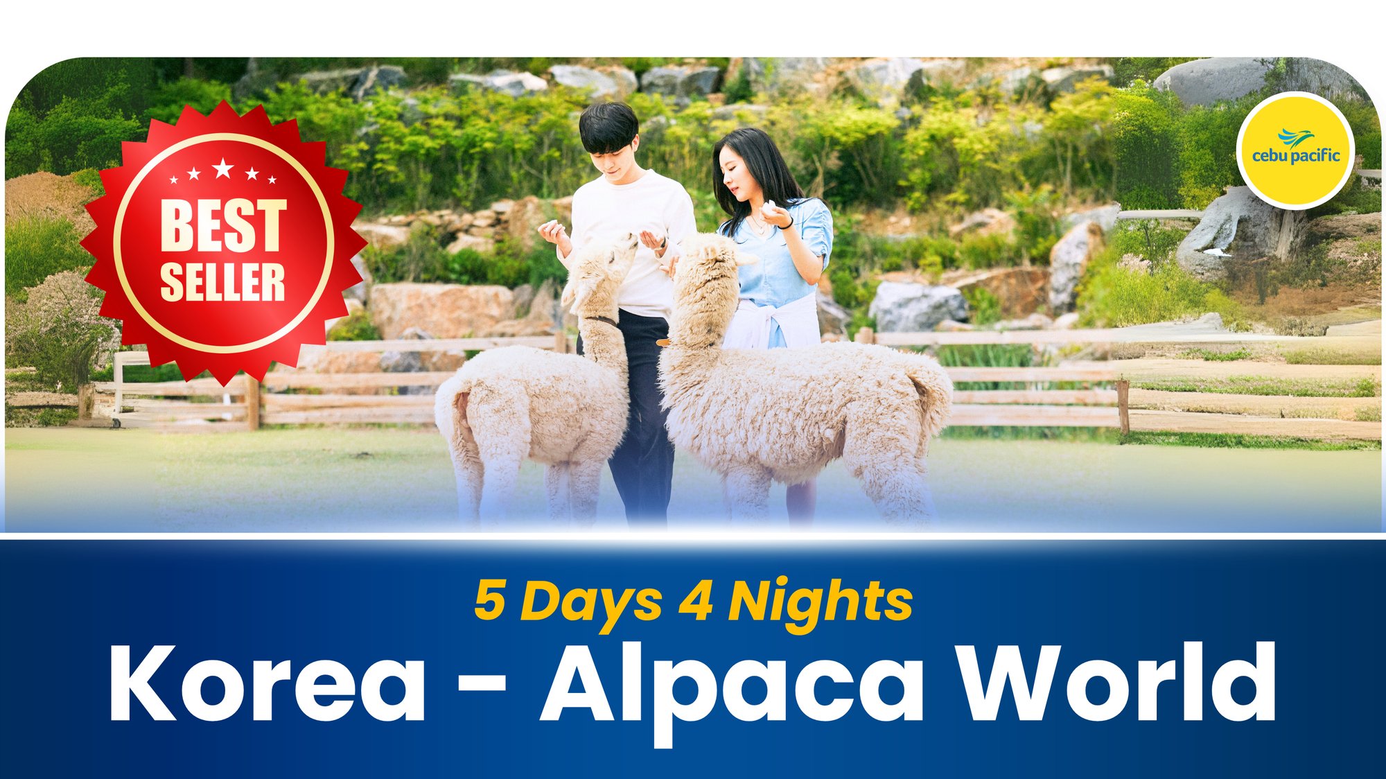KOREA ALPACA WORLD