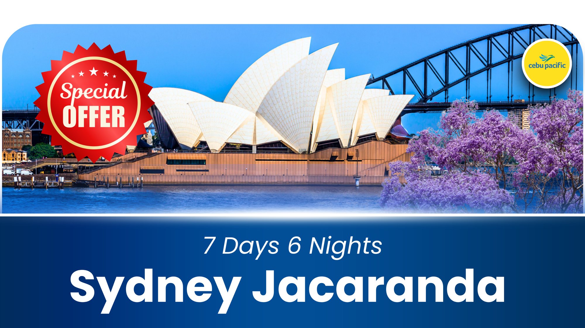 SYDNEY JACARANDA