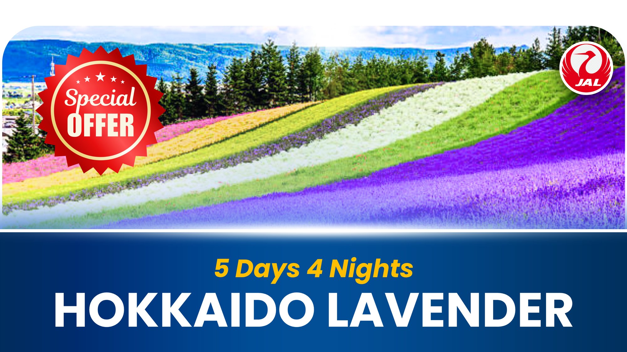 HOKKAIDO LAVENDER TH