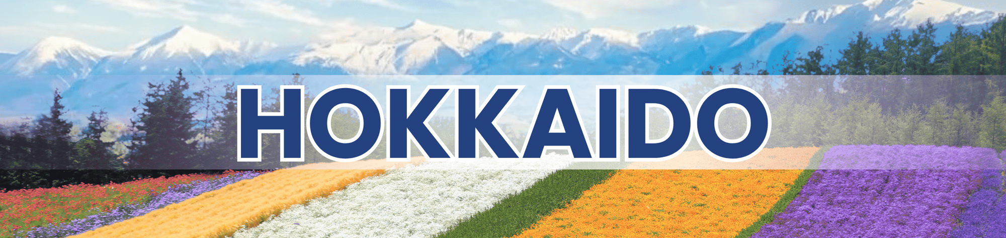 HOKKAIDO OPT H