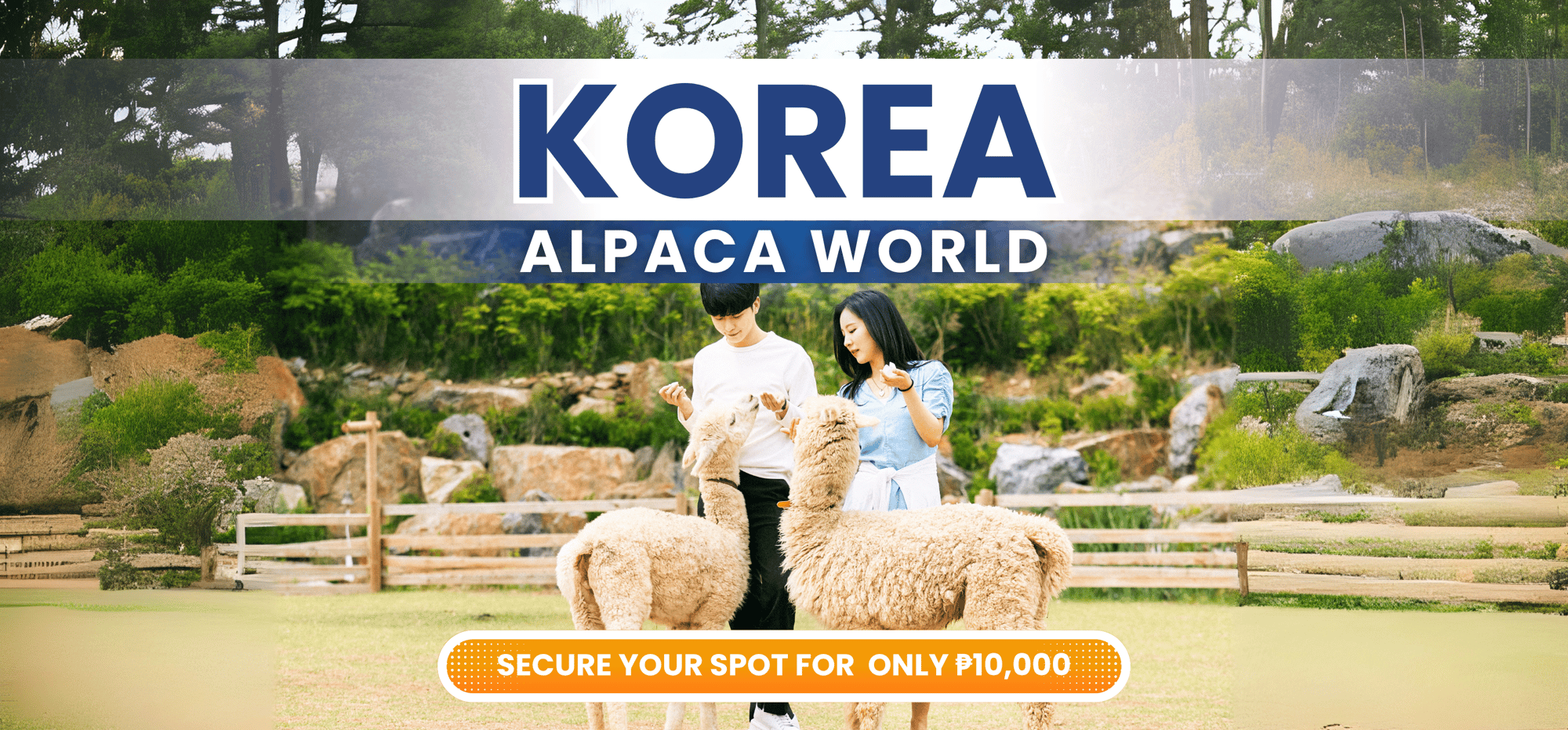 KOREA 5D4N H