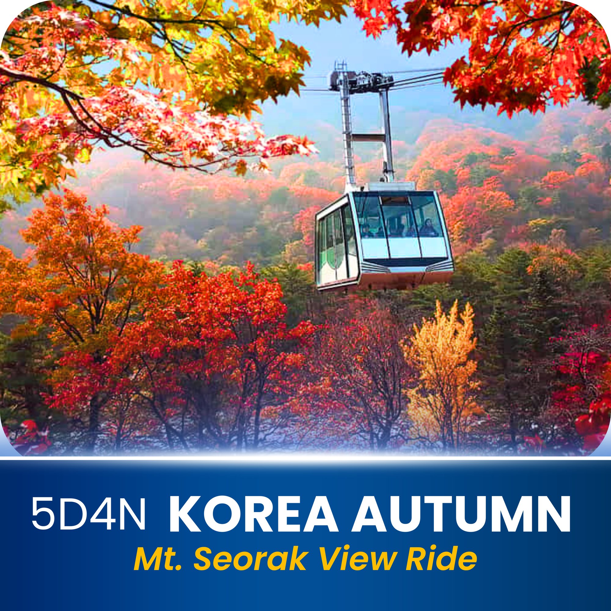 KOREA AUTUMN-1