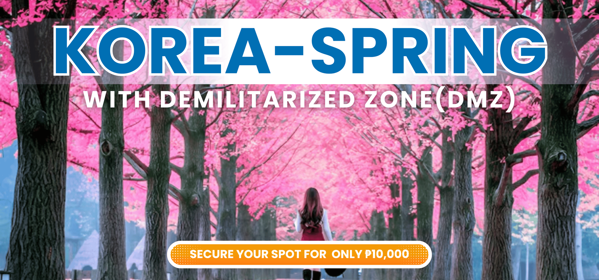 KOREA SPRING HEADER