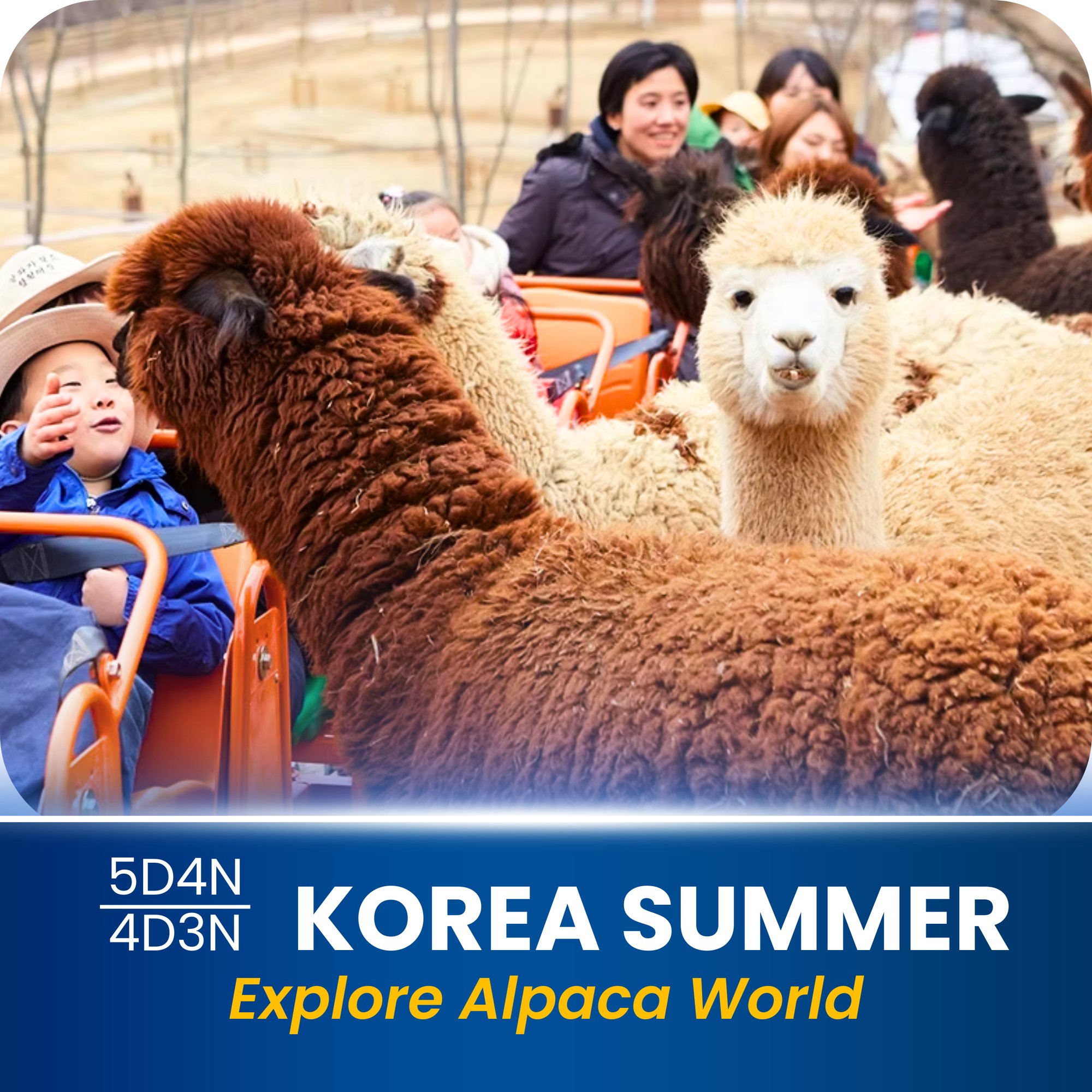 KOREA SUMMER-1
