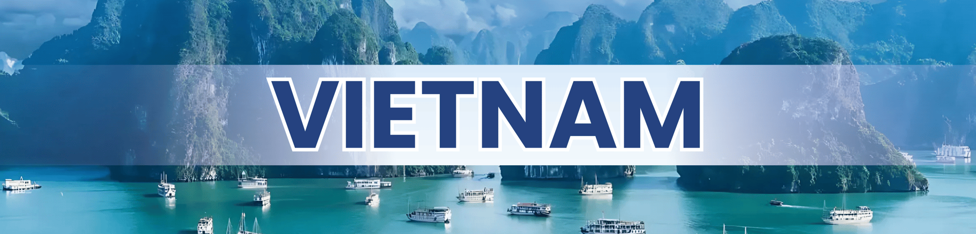 VIETNAM OPTIONS H